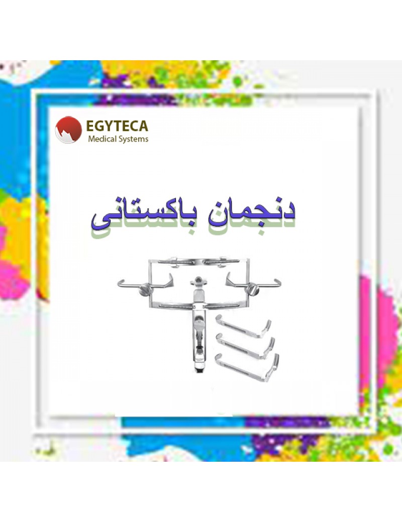 Dingman mouth Gag Pyramid